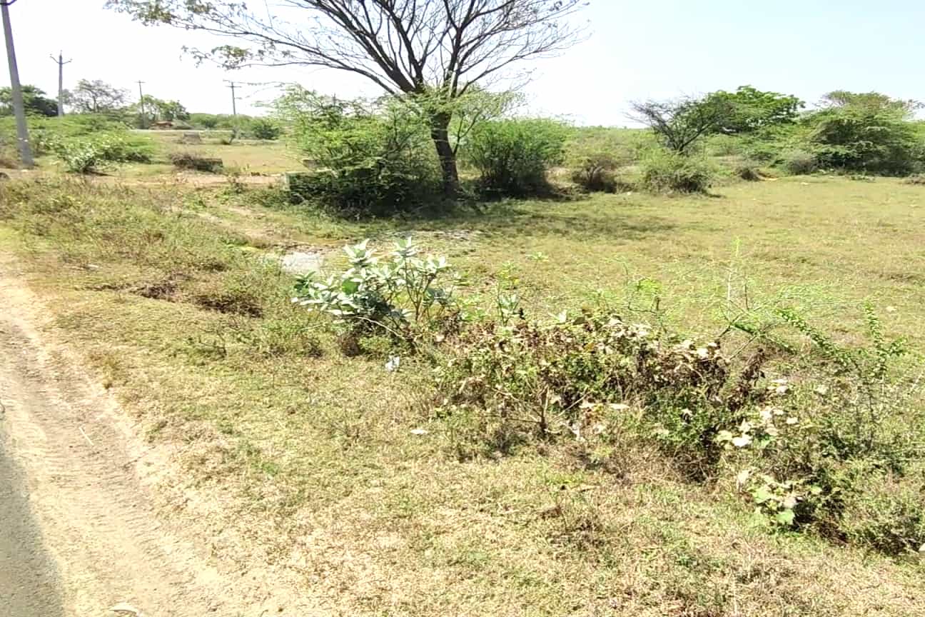 Trust's Land